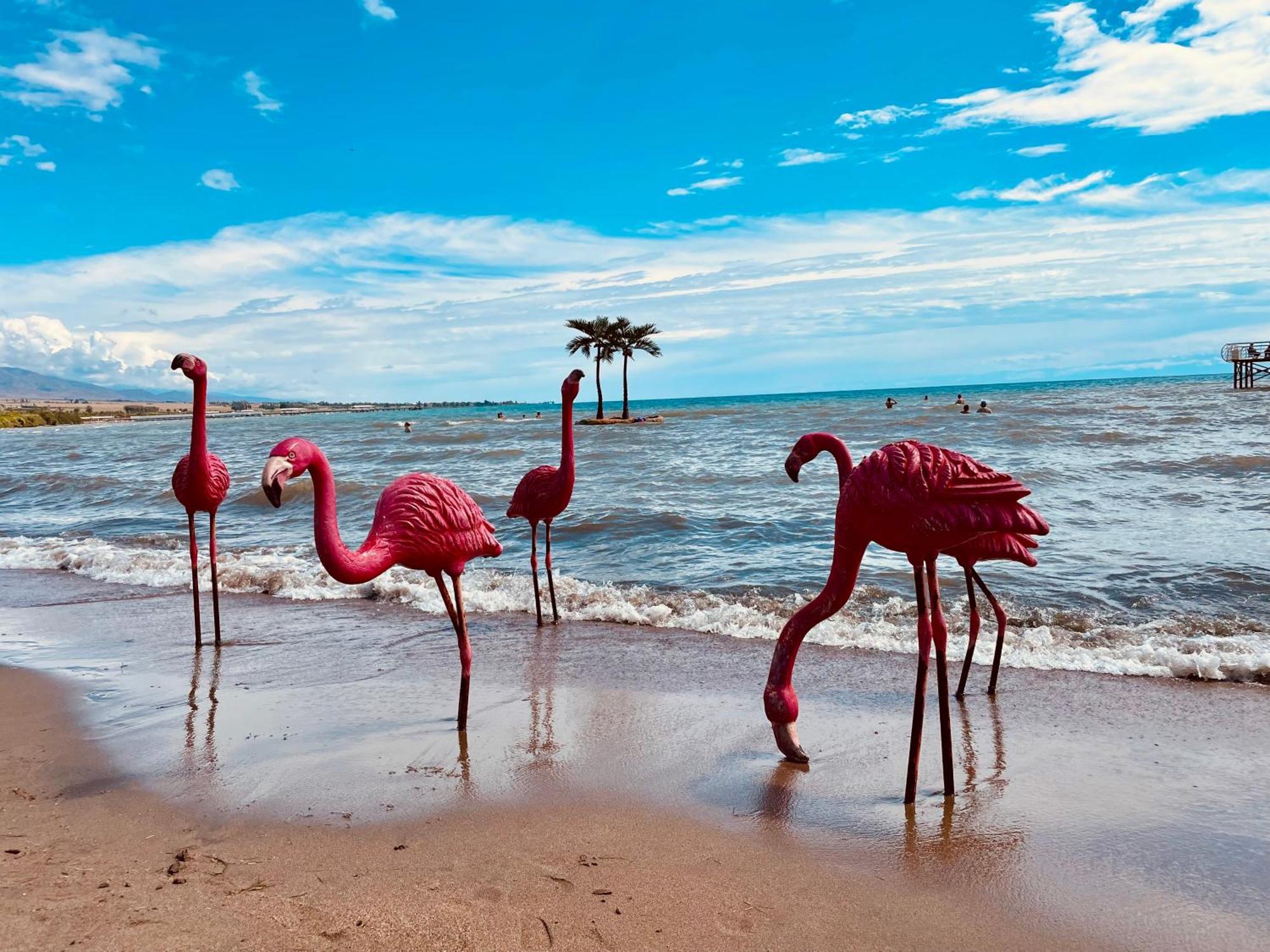Коттедж В Центре Отдыха Palm Beach Иссык-Куль Chok-Tal Εξωτερικό φωτογραφία